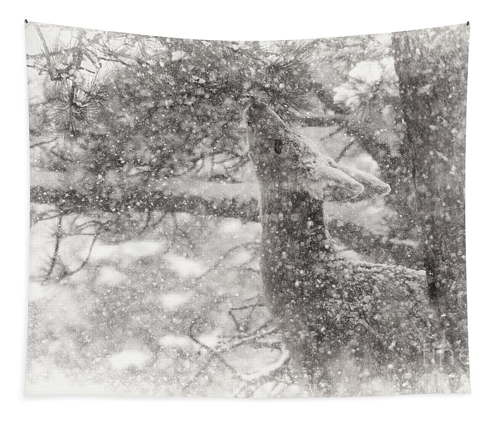 Deer Tapestry featuring the photograph Weathering Winter by Jim Garrison