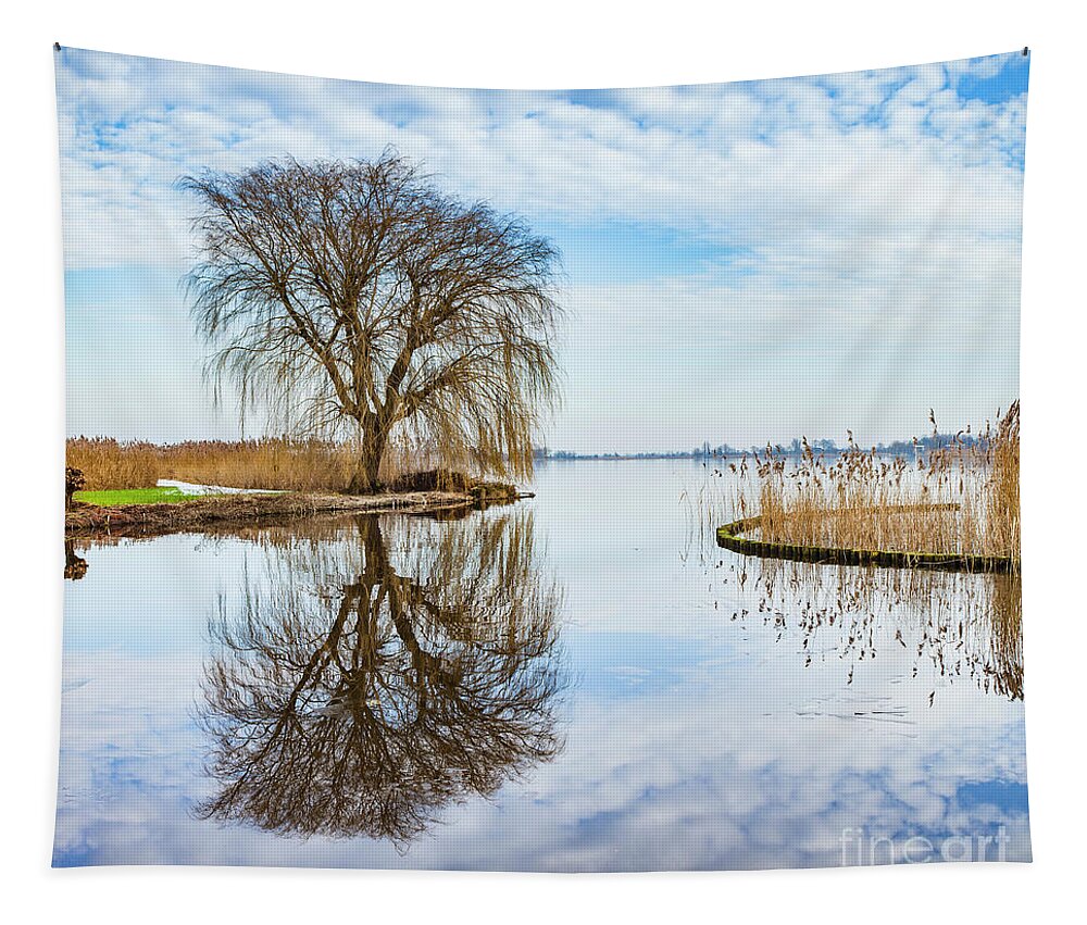 Weeping-willow Tapestry featuring the photograph Weeping-willow-1 by Casper Cammeraat