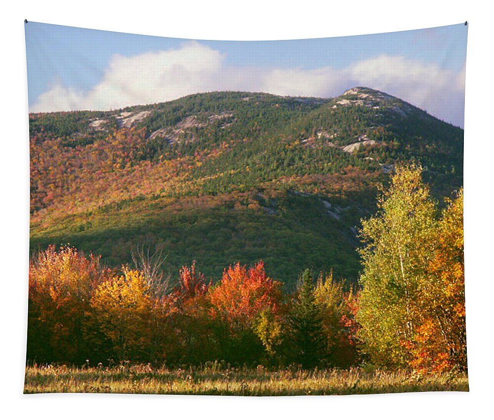 Mountains Tapestry featuring the photograph Welch and Dickey Mountains by Nancy Griswold