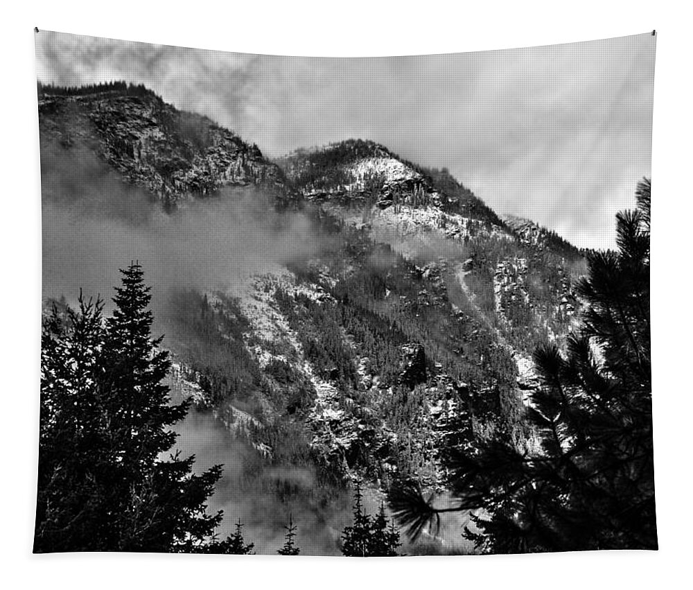 National Tapestry featuring the photograph Wenatchee National Forest Black and White 2 by Pelo Blanco Photo