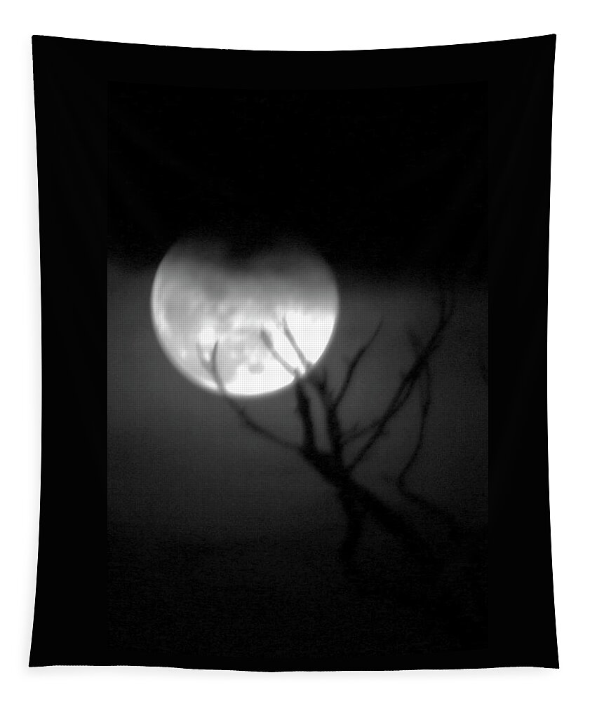 Photo For Sale Tapestry featuring the photograph Werewolf Moon by Robert Wilder Jr
