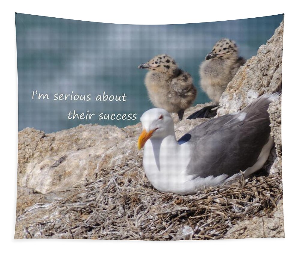  Tapestry featuring the photograph Western Gull says I'm Serious about Their Success by Sherry Clark