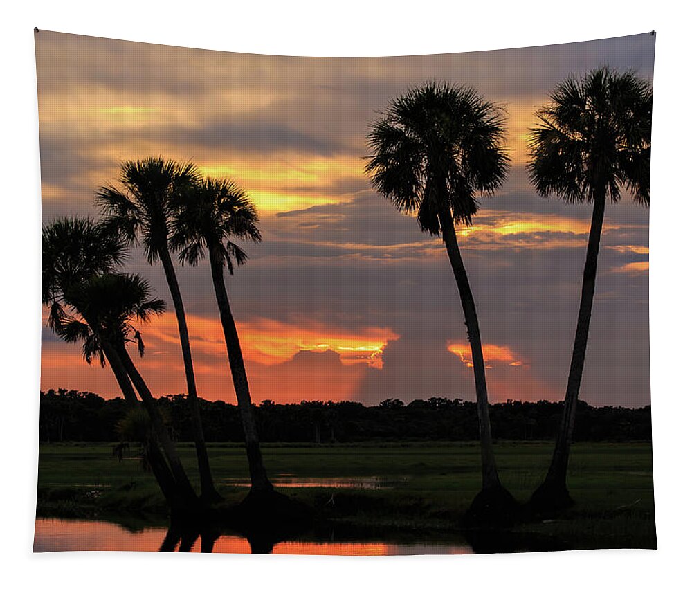 Florida Tapestry featuring the photograph Wetlands Sunset by Stefan Mazzola