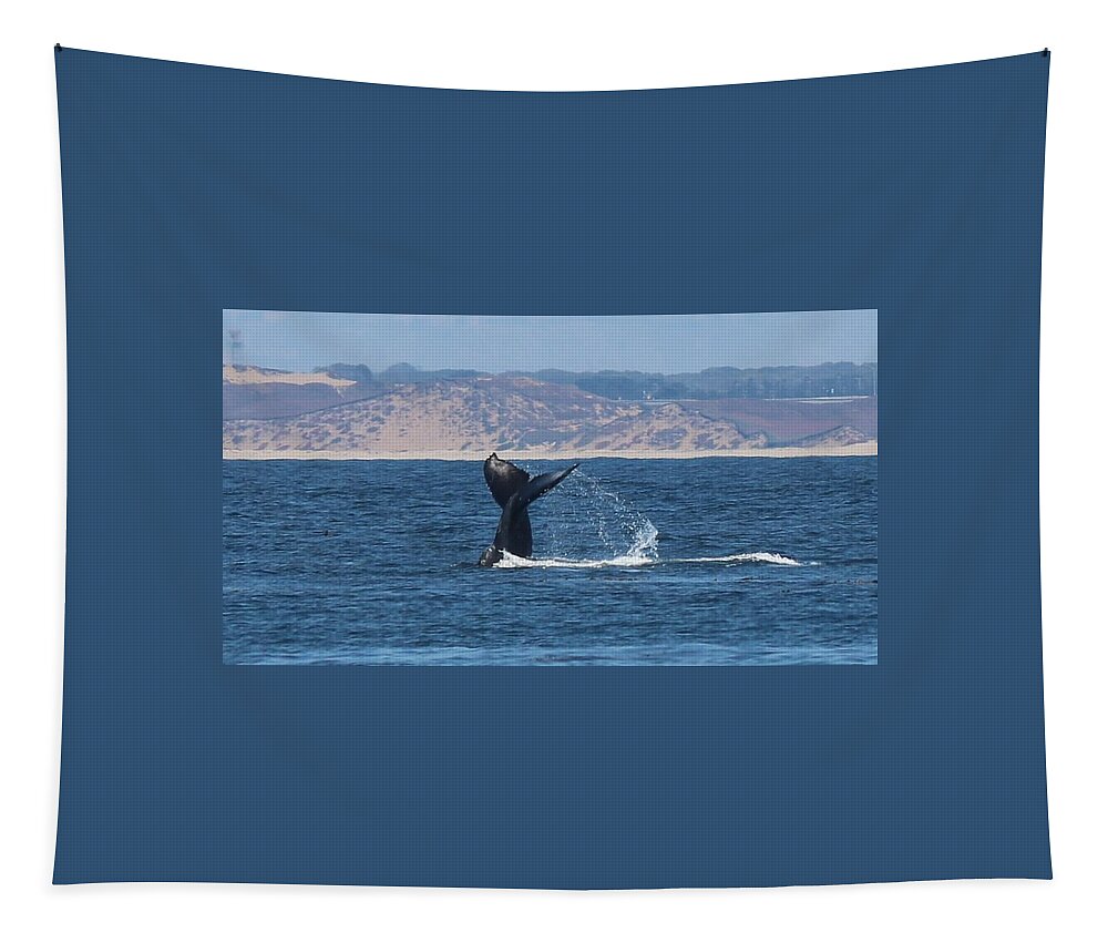 Whale Tail Tapestry featuring the photograph Whale Tail by Christy Pooschke