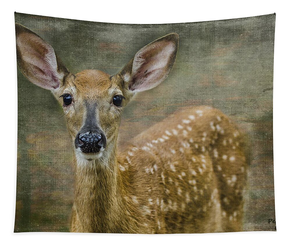 Fawn Tapestry featuring the photograph What Big Ears You Have by Peg Runyan