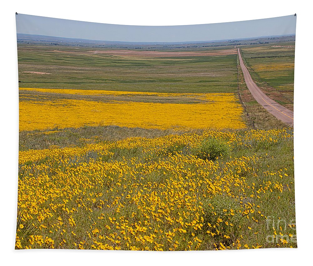 Yellow Wildflowers Tapestry featuring the photograph What Lies Ahead by Jim Garrison
