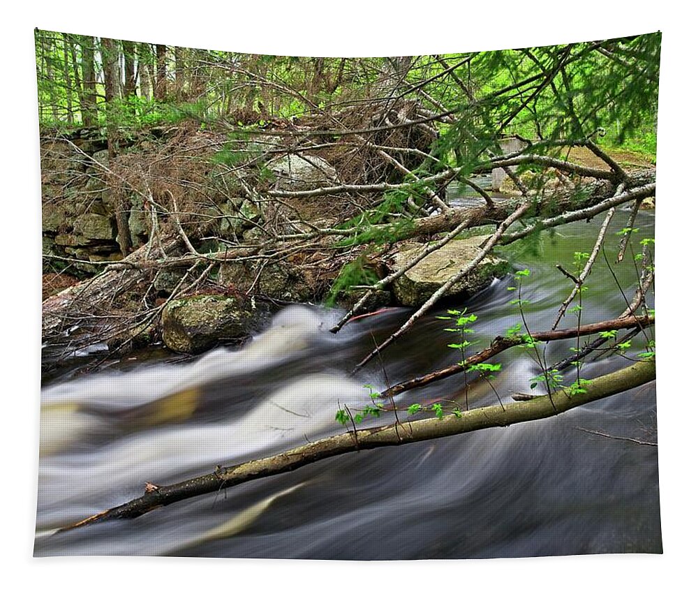 Waterfall Tapestry featuring the photograph What Lies Beneath by Allan Van Gasbeck