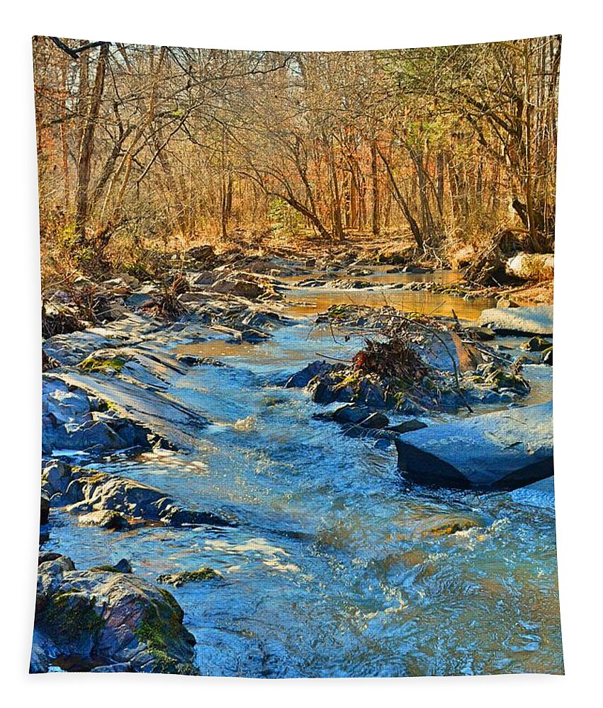 What Streams Are Made Of Tapestry featuring the photograph What Streams Are Made Of by Lisa Wooten