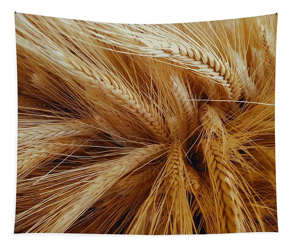 Wheat Tapestry featuring the photograph Wheat in the Sunset by Nathan Little