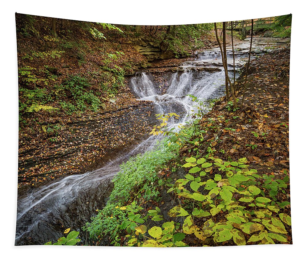 When The Leaves Fall Tapestry featuring the photograph When The Leaves Fall by Dale Kincaid