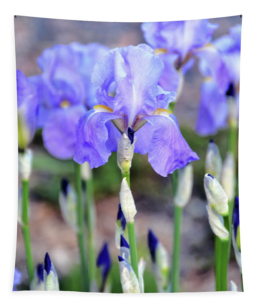 Iris Tapestry featuring the photograph Where Iris Grows by Angelina Tamez