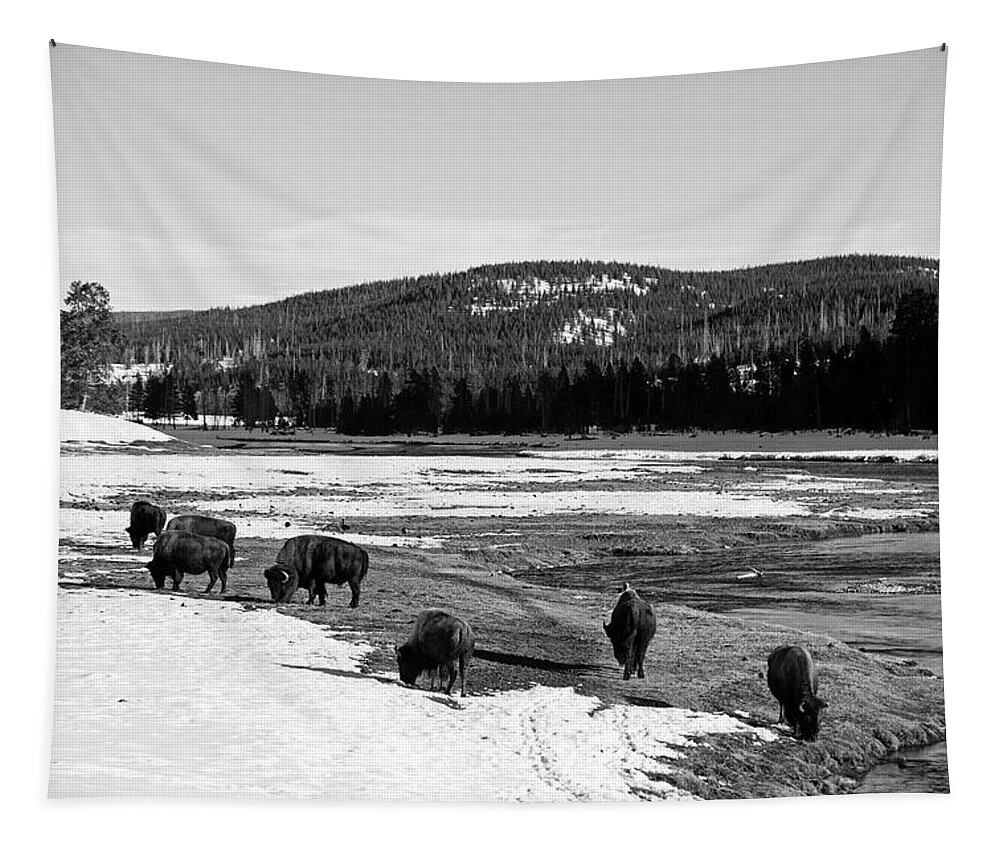 Yellowstone National Park Tapestry featuring the photograph Where The Buffalo Roam by Mountain Dreams