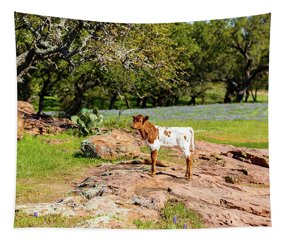 African Breed Tapestry featuring the photograph Where's My Mother? by Raul Rodriguez