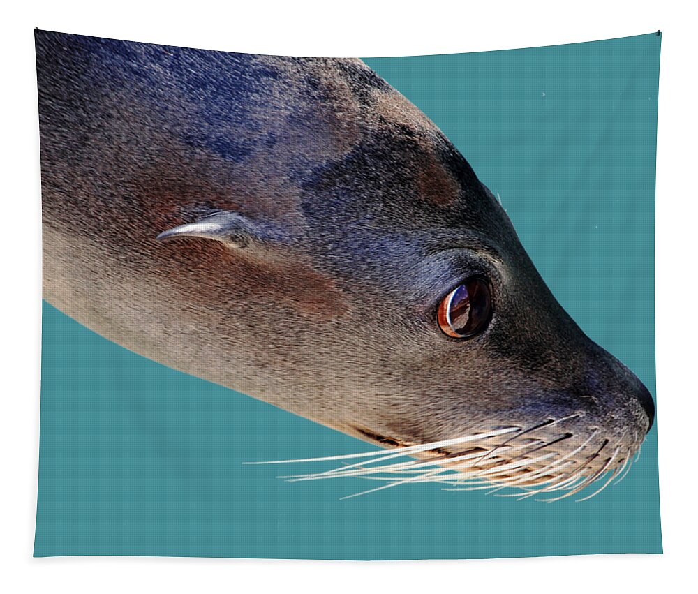 Marine Mammal Tapestry featuring the photograph Whiskers by Debbie Oppermann