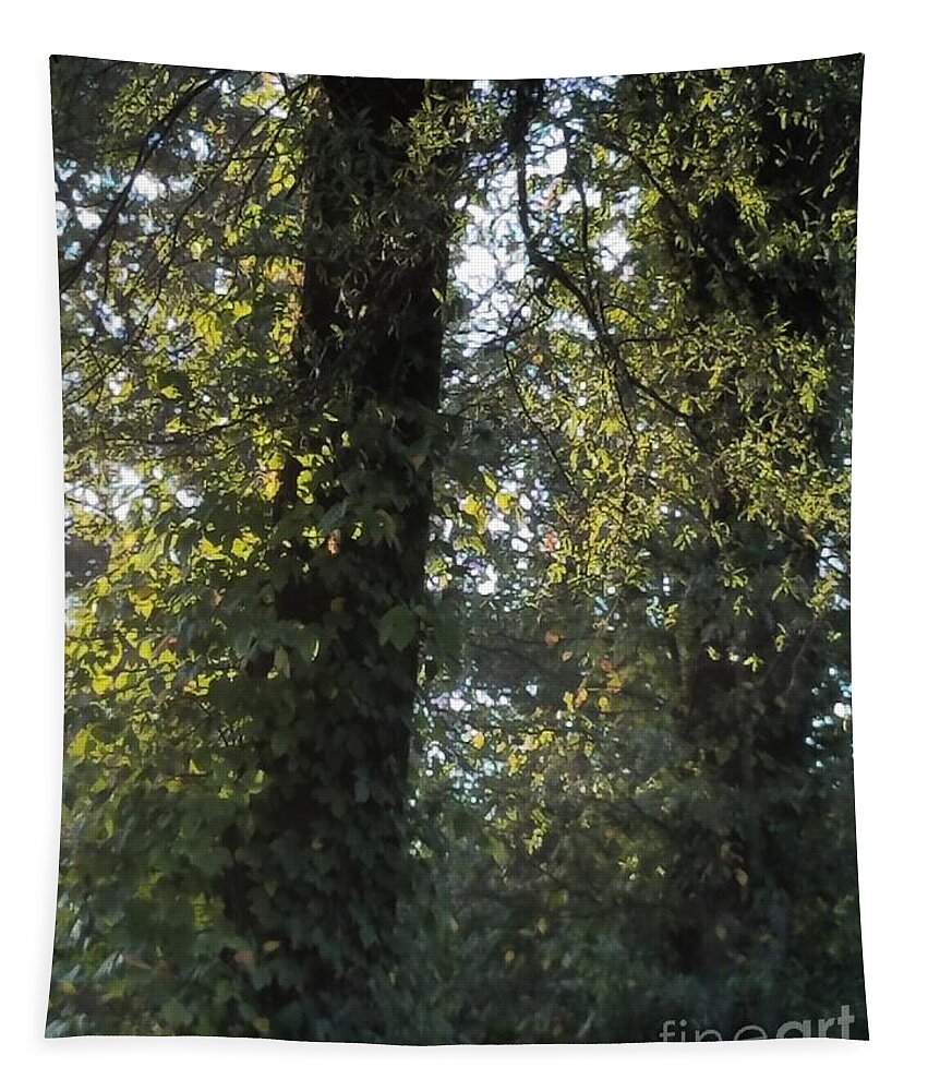 Whispering Light Tapestry featuring the photograph Whispering Light by Maria Urso
