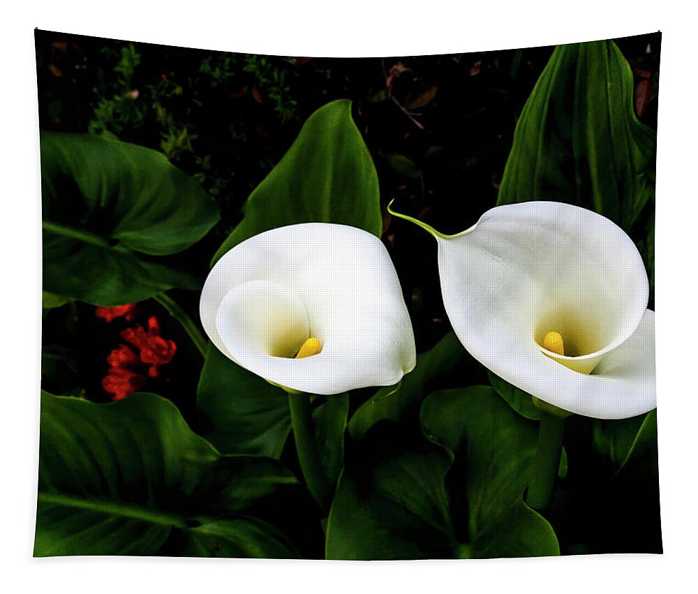 Floral Tapestry featuring the photograph White Calla Lily by Gene Parks