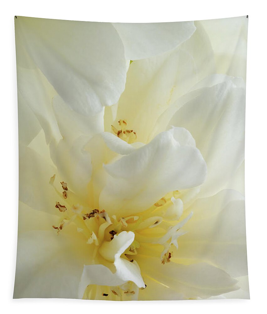 White Camelia Tapestry featuring the photograph White Camelia by Ann Garrett