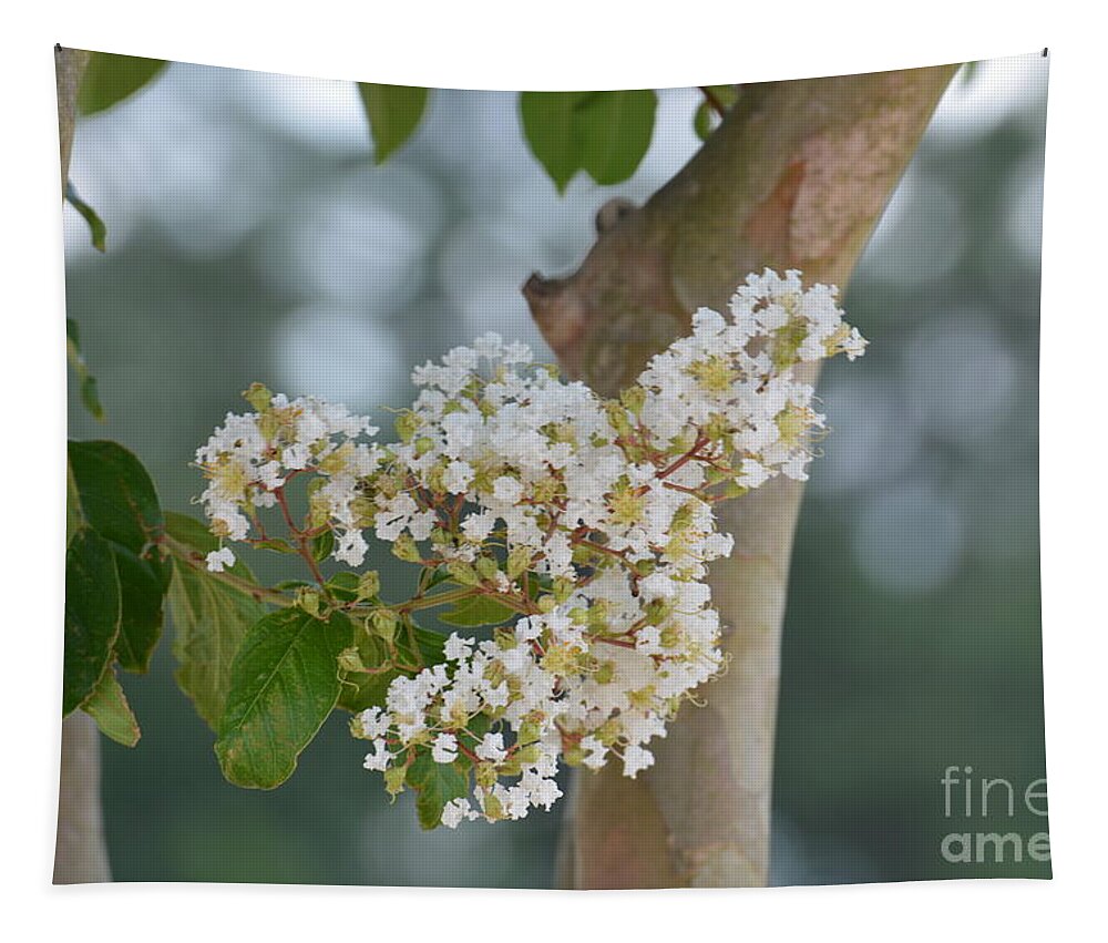 White Crepe Myrtle Tapestry featuring the photograph White Crepe Myrtle by Maria Urso
