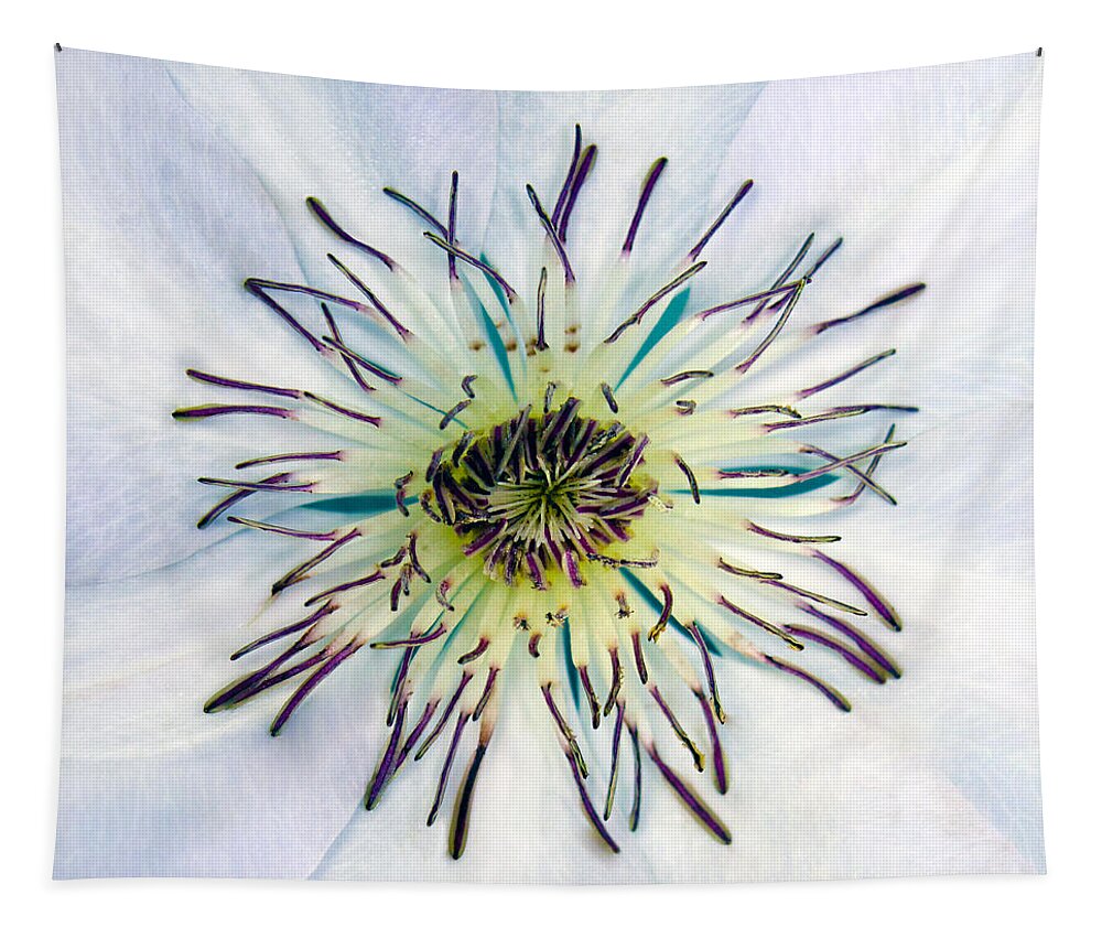 4922a Tapestry featuring the photograph White Expressive Clematis Flower Macro Photo 4922 by Ricardos Creations