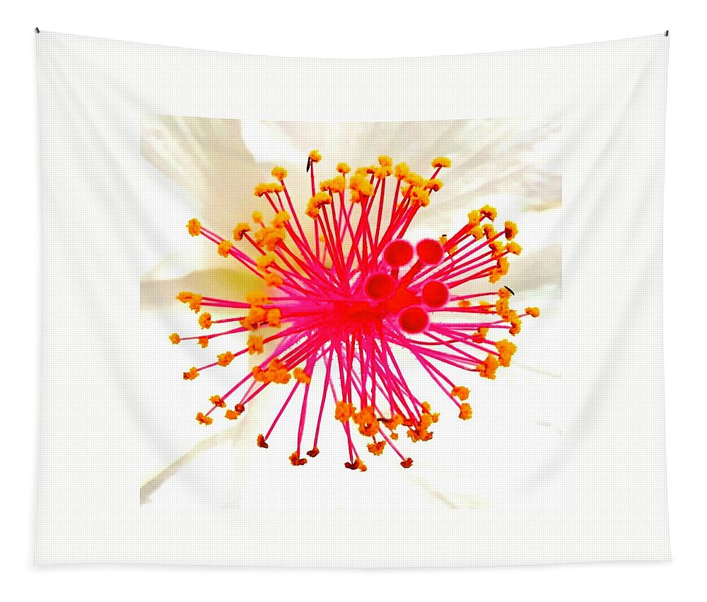 #flowersofaloha #flowers # Flowerpower #aloha #hawaii #aloha #puna #pahoa #thebigisland #joyouscosmoligy #joyous #whitehibiscus #whitehibiscusjoyouscosmology Tapestry featuring the photograph White Hibiscus Joyous Cosmology by Joalene Young