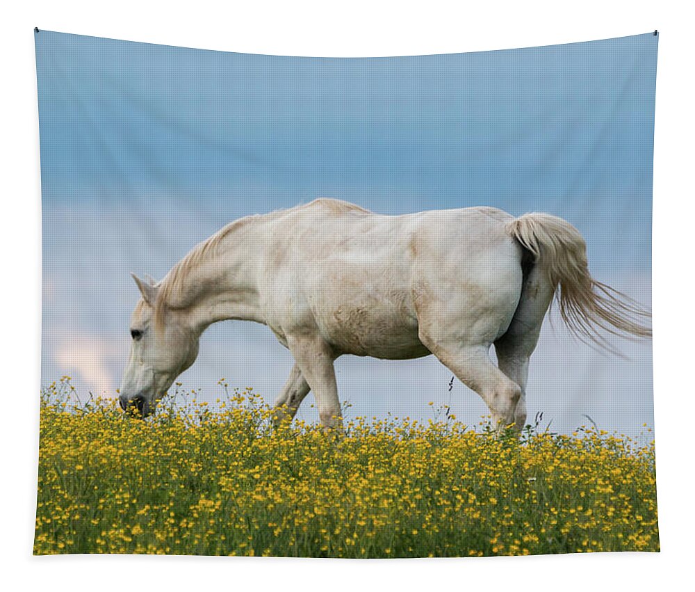 Horse Tapestry featuring the photograph White Horse of Cataloochee Ranch 2 - May 30 2017 by D K Wall