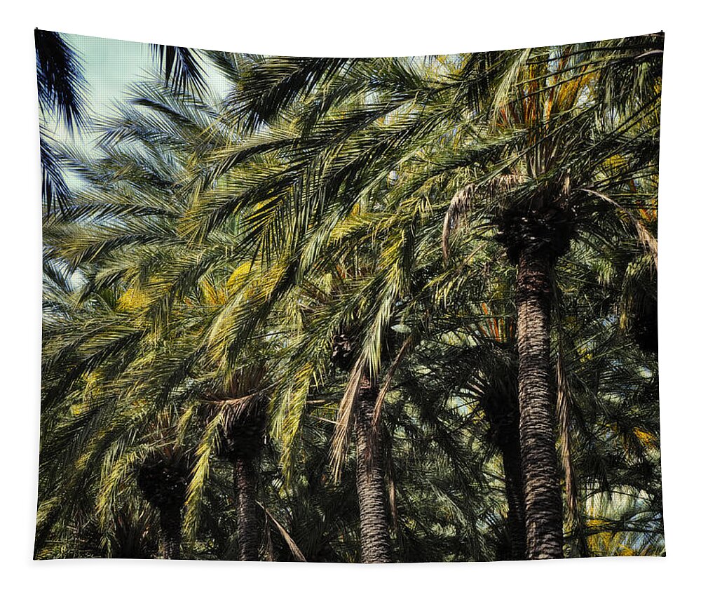 Joan Carroll Tapestry featuring the photograph White hot sun and cool shade by Joan Carroll
