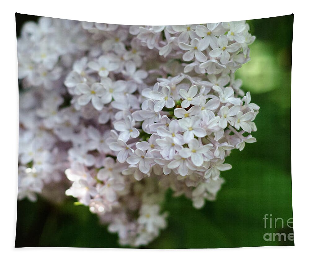 Lilac Tapestry featuring the photograph White Lilacs by Laurel Best