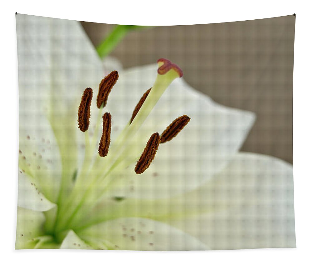 Trinity Tapestry featuring the photograph White Lily 4 by Elena Perelman