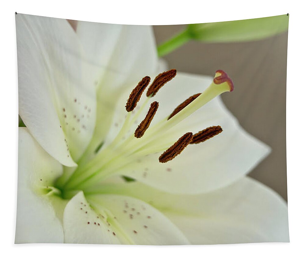 Humility Tapestry featuring the photograph White Lily 5 by Elena Perelman