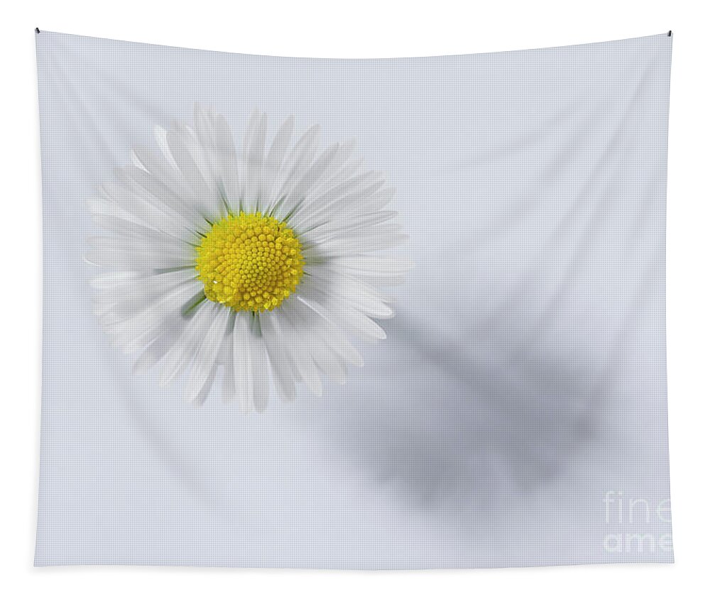 White Tapestry featuring the photograph White by Masako Metz