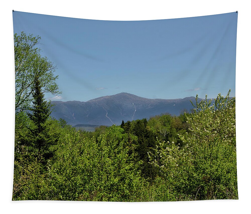 White Tapestry featuring the photograph White Mountain View by Donna Doherty
