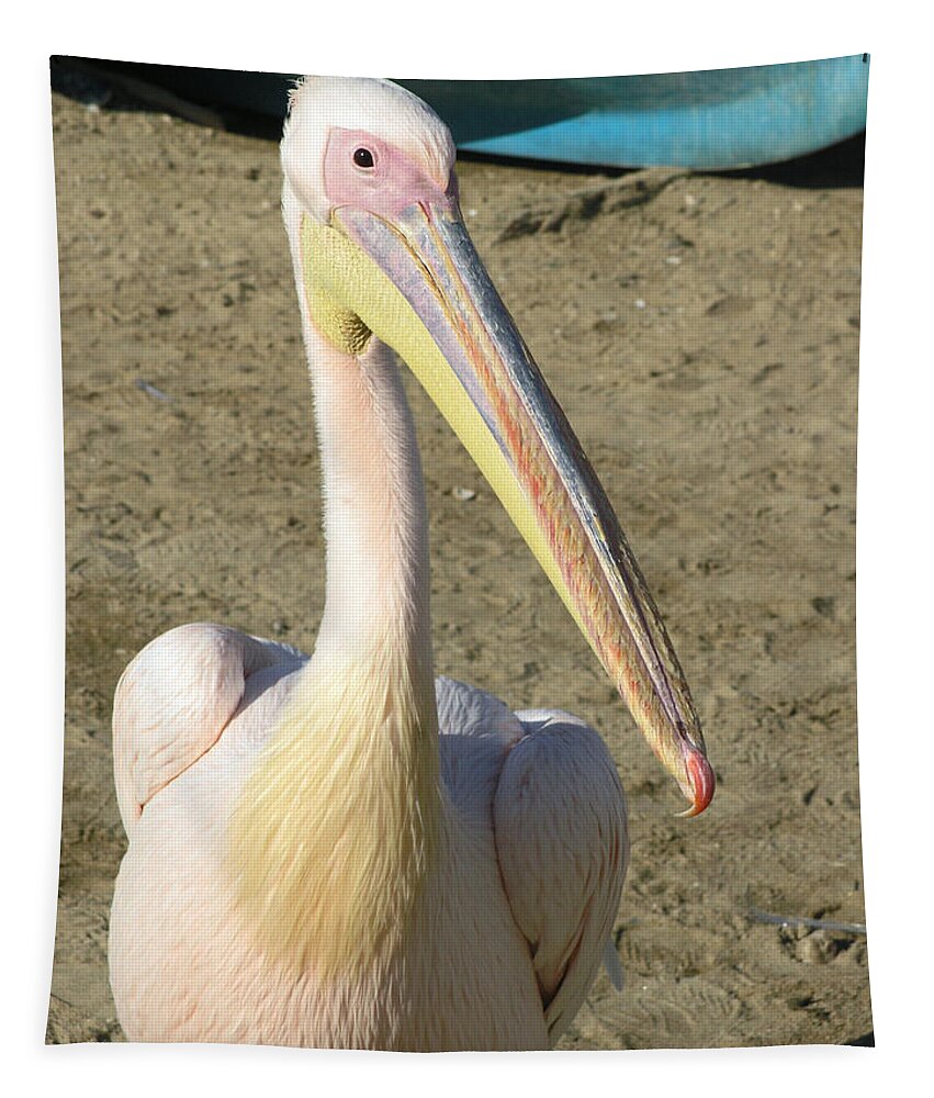 White Pelican Tapestry featuring the photograph White Pelican by Sally Weigand