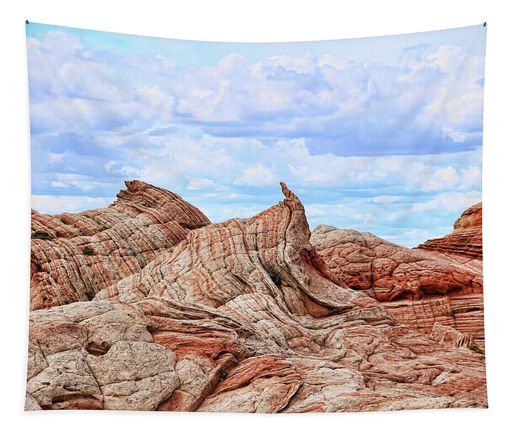 White Pocket # 16 Tapestry for Sale by Allen Beatty