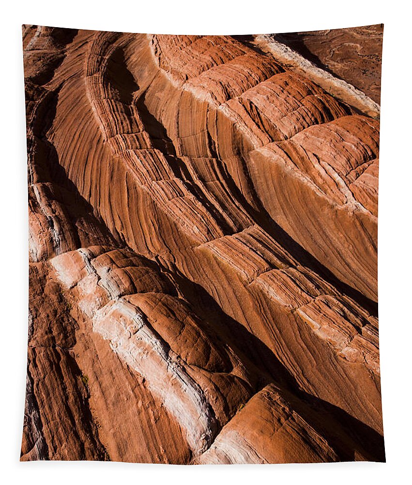 White Pockets Tapestry featuring the photograph White Pocket Arizona by Keith Kapple