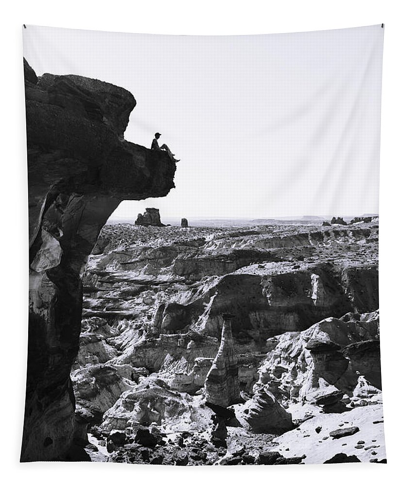 White Rocks Tapestry featuring the photograph White Rocks by Chad Dutson