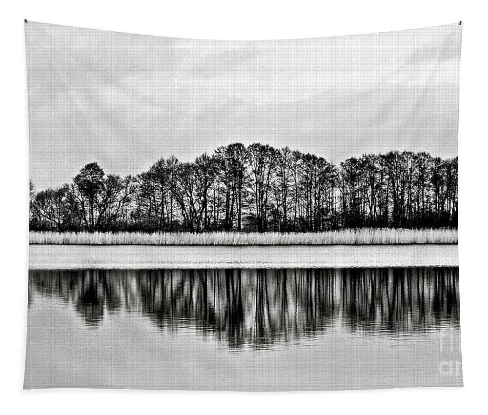 Winter Tapestry featuring the photograph White Sinfony of Winter Lake by Silva Wischeropp