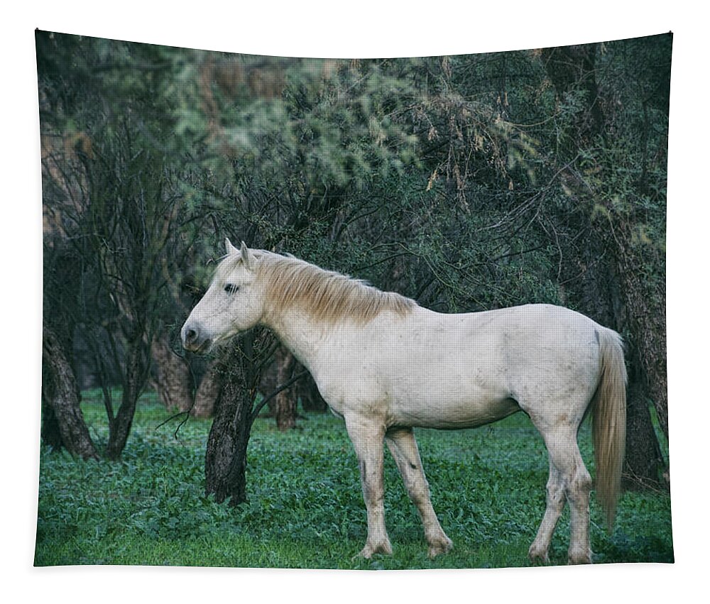 Wild Horses Tapestry featuring the photograph White Stallion in the Woods by Saija Lehtonen