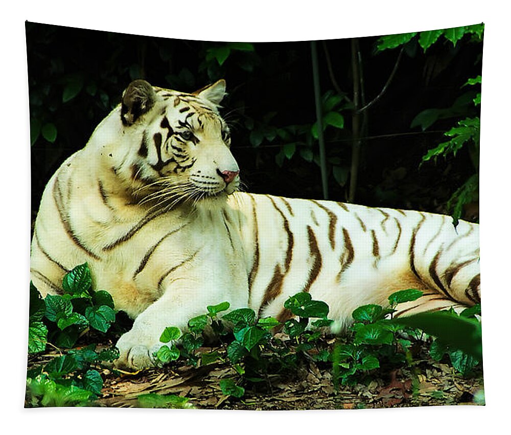 White Tiger Tapestry featuring the photograph White Tiger by Frank Lee
