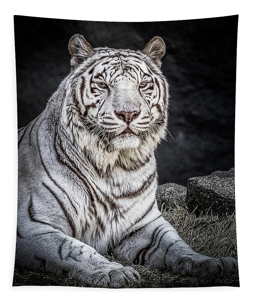 Big Cat Tapestry featuring the photograph White Tiger by Ron Pate