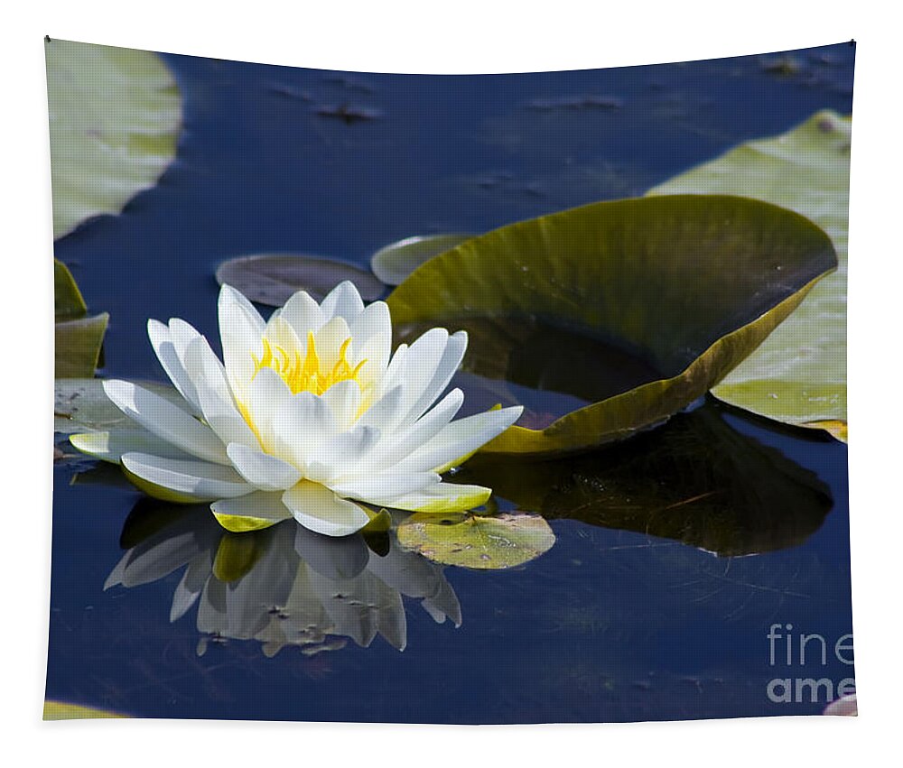 Flower Tapestry featuring the photograph White Waterlily by Teresa Zieba