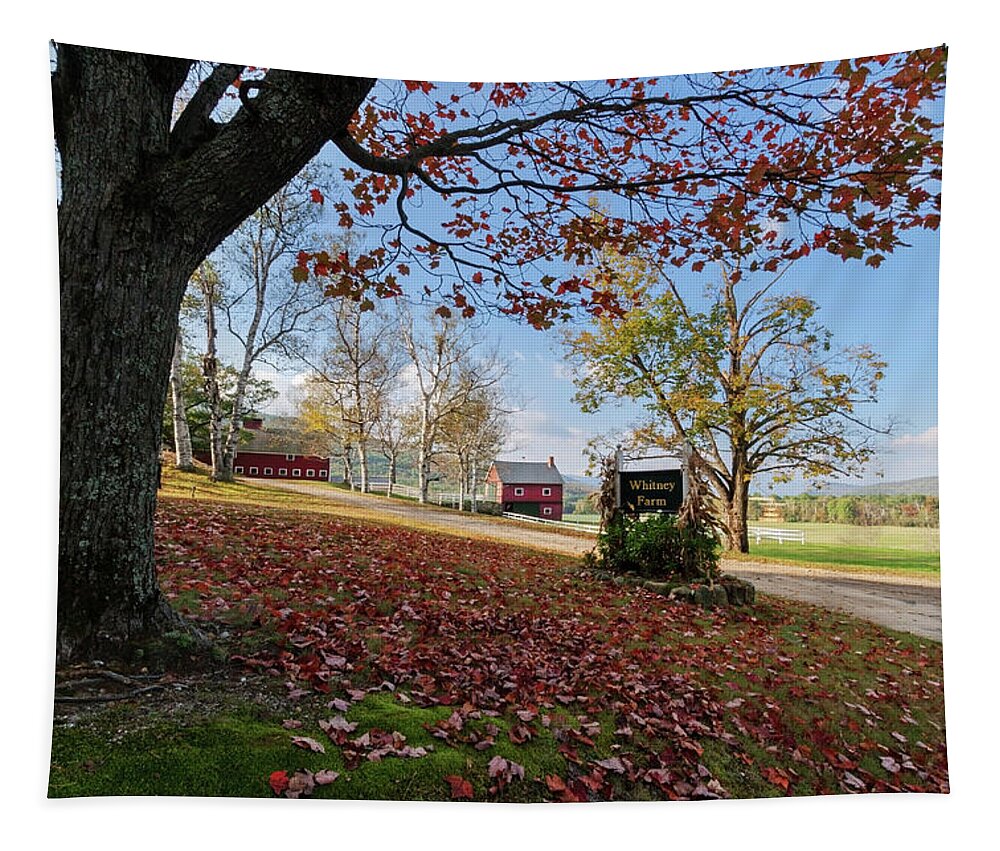 Landscape Tapestry featuring the photograph Whitney Farm by Brett Pelletier