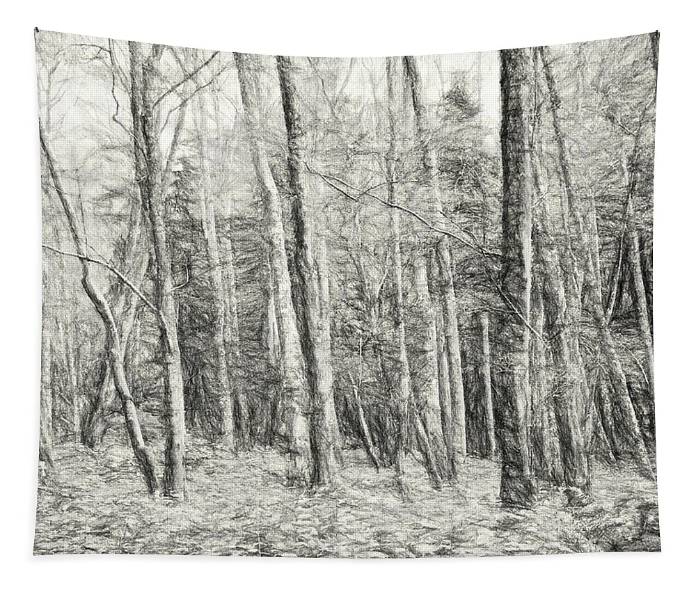 Greeting Card Tapestry featuring the photograph Whose Woods These Are I Think I Know by Allan Van Gasbeck