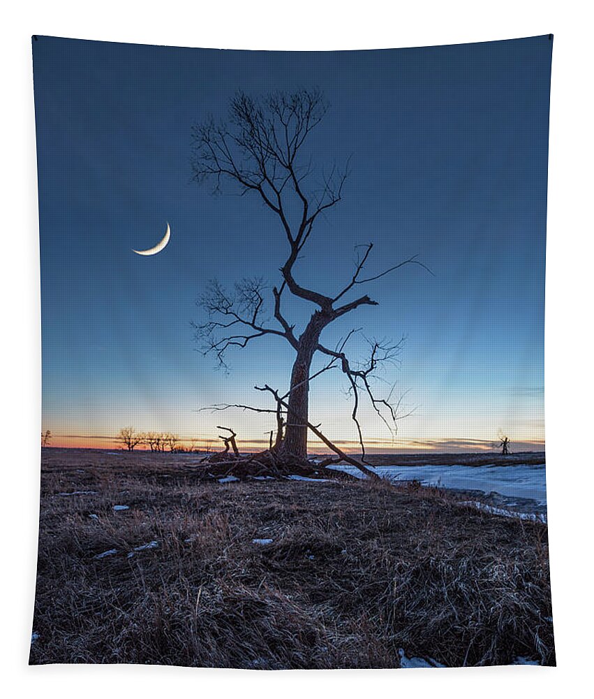 Moon Tapestry featuring the photograph Wicked Tree by Aaron J Groen