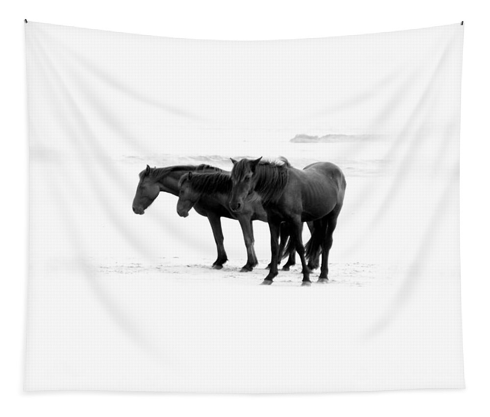 Wild Tapestry featuring the photograph Wild and Free in Black and White by Kim Galluzzo