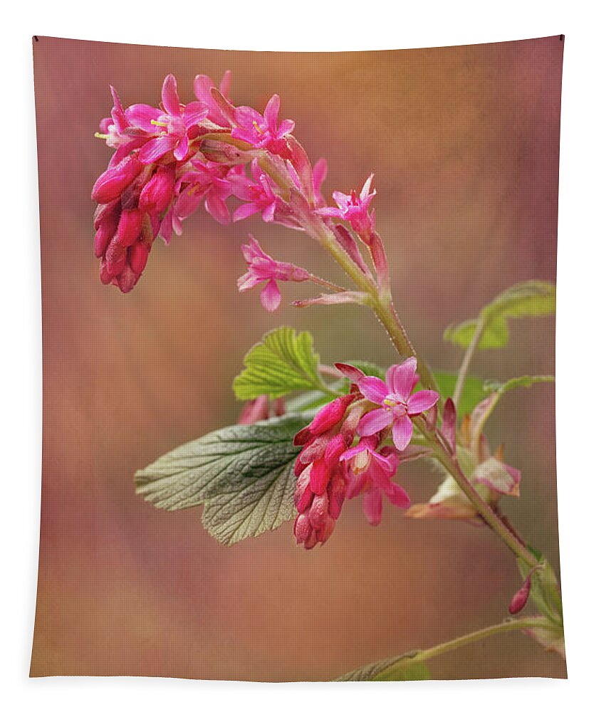 Flower Tapestry featuring the photograph Wild Currant Blossom by Mary Jo Allen