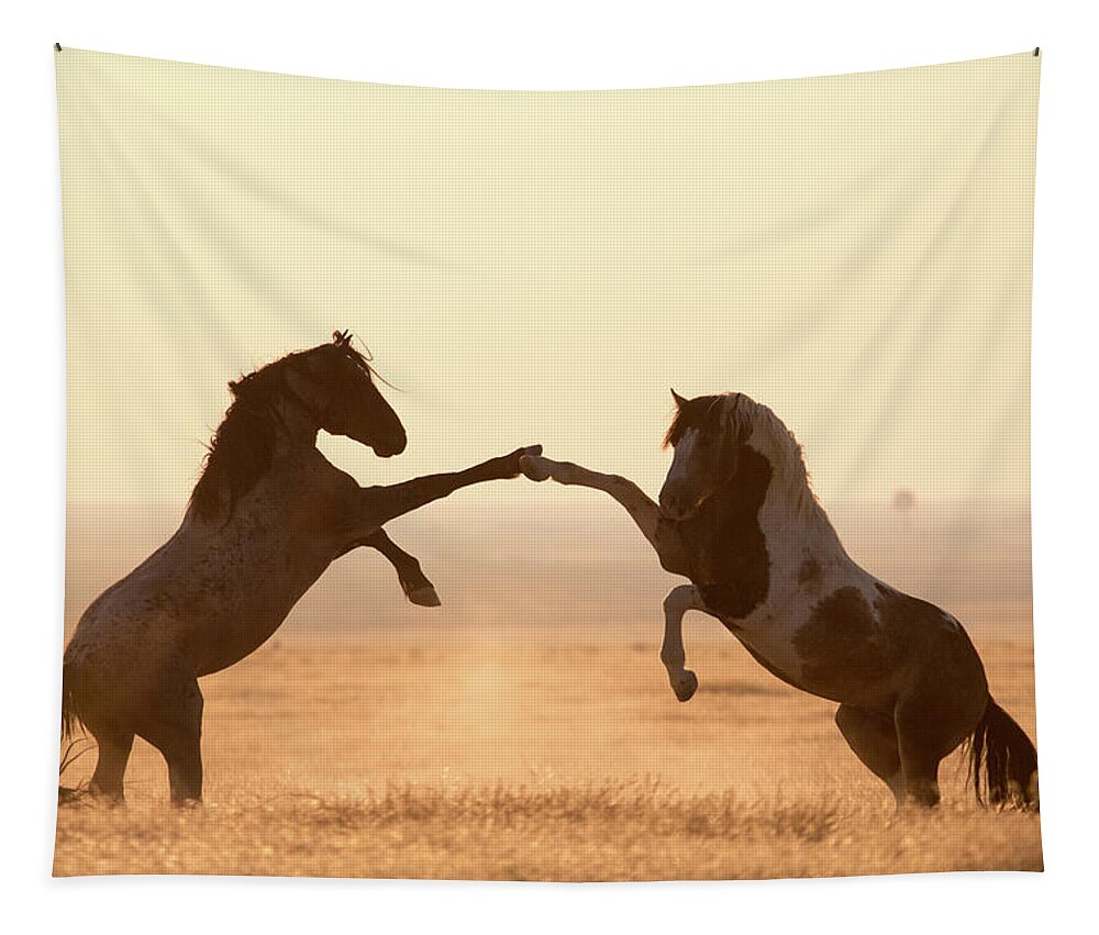 High 5 Tapestry featuring the photograph Wild Horse High 5 by Wesley Aston