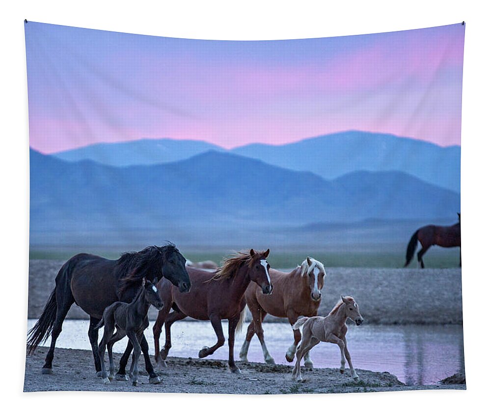 Wild Horse Tapestry featuring the photograph Wild Horse Sunrise by Wesley Aston