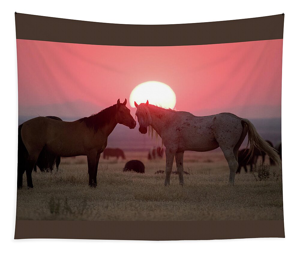 Wild Horse Tapestry featuring the photograph Wild Horse Sunset by Wesley Aston