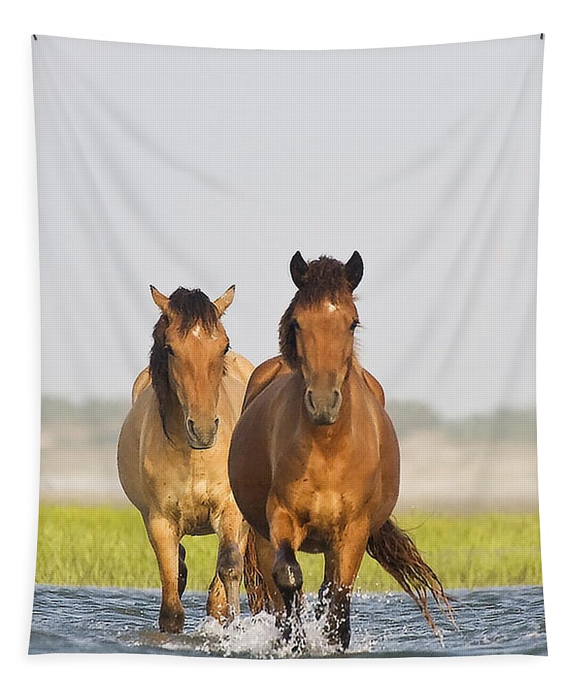 Wild Tapestry featuring the photograph Wild Horses by Bob Decker