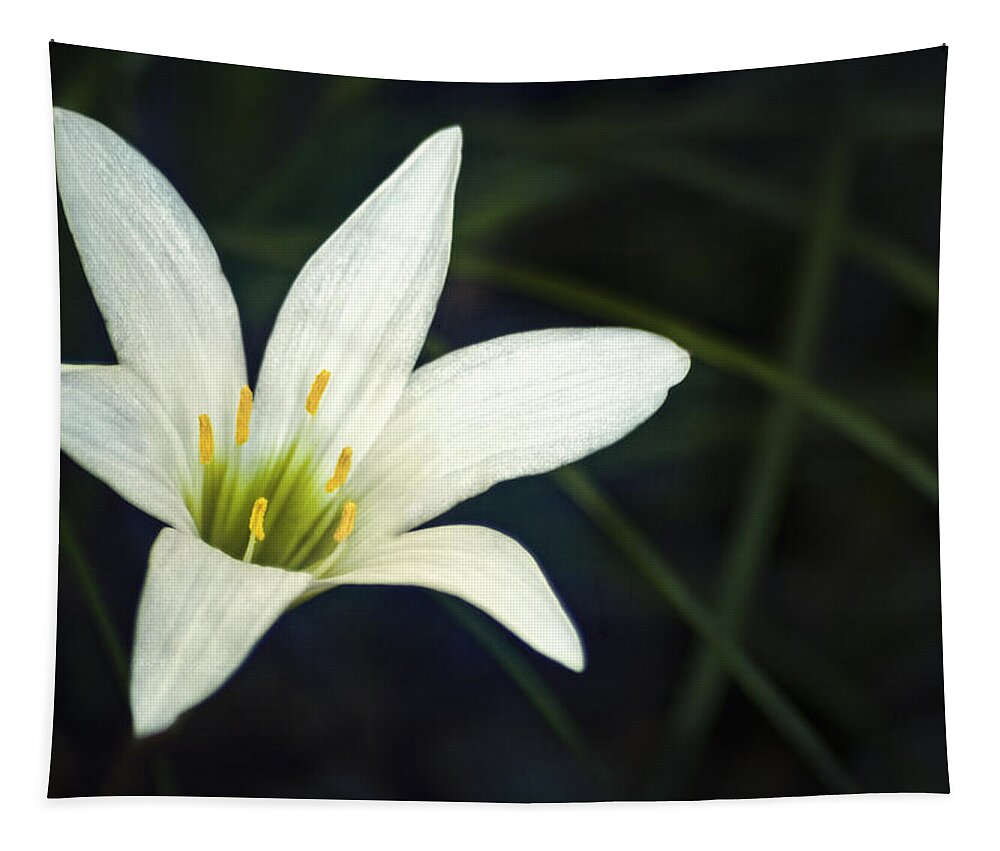 Lily Tapestry featuring the photograph Wild Lily by Carolyn Marshall